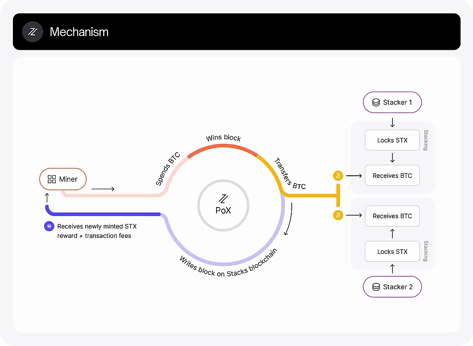 Bitcoin L2 payments