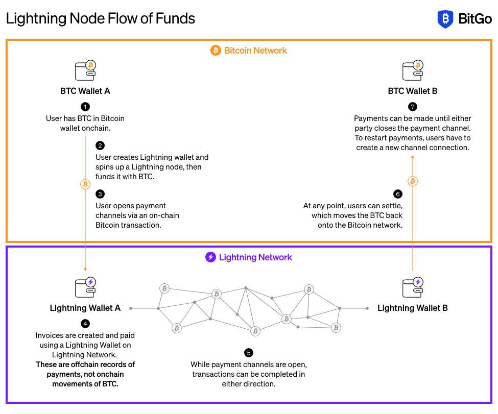 Bitcoin Lightning payments
