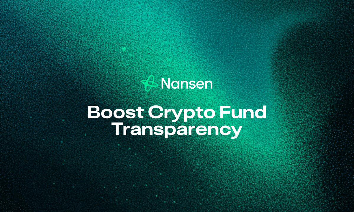 blockchain onchain transaction audit transparency